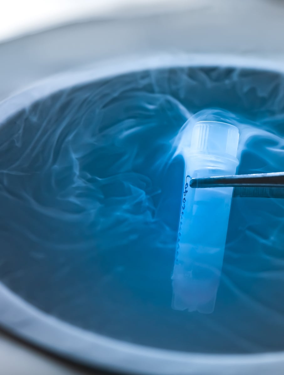 Nitrogen dioxide sterilization technology for pharmaceutical and medical device manufacturing